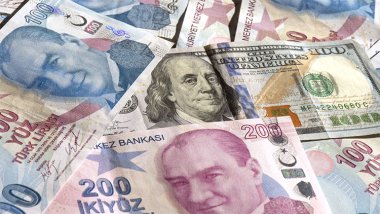 ABD'li bankadan sürpriz dolar tahmini