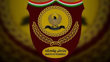 Pêşmergeyekî ji ber birûskê canê xwe ji dest da