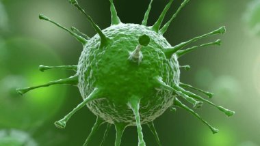 DSÖ, Hindistan'da insana bulaşan bir kuş gribi vakası bildirdi