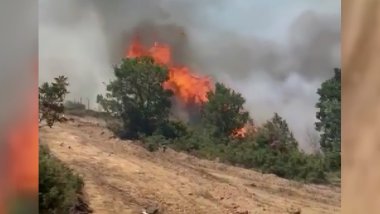 Li gundewarê Çewligê agir bi daristanan ket