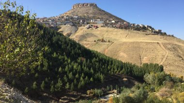 Valilik duyurdu: Mardin'de ormanlara girişler yasaklandı