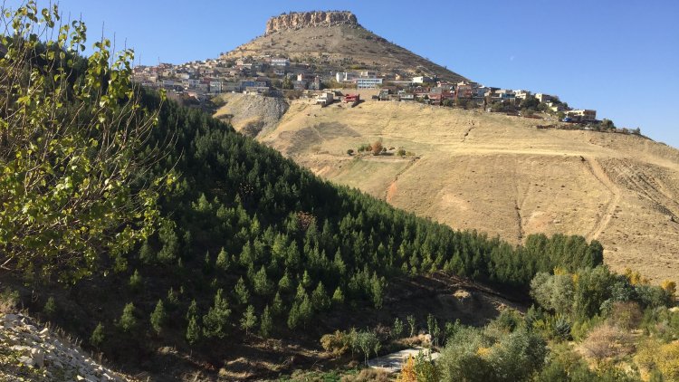 Valilik duyurdu: Mardin'de ormanlara girişler yasaklandı