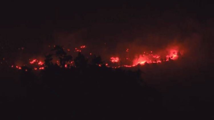 Zaho'da ormanlık alanda yangın