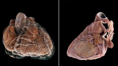 Bilim insanları, Google Earth'e benzer yeni bir teknoloji geliştirdi