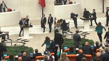 TBMM'deki yumruklu kavga dünya basınında