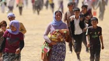 Dindar Zebari: 10’den fazla ülke Ezidi katliamını tanıdı