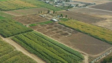 Kerkük: Kürtlere ait yüzbinlerce dönüm arazinin iade süreci başladı