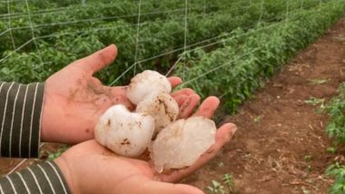 Urfa’da kar topu büyüklüğünde dolu yağdı