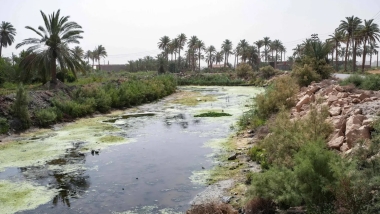 Irak'ın su rezervleri son 80 yılın en düşük seviyesinde