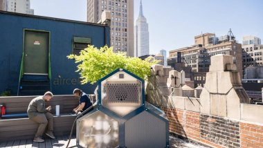 Havadan benzin üreten makine geliştirildi