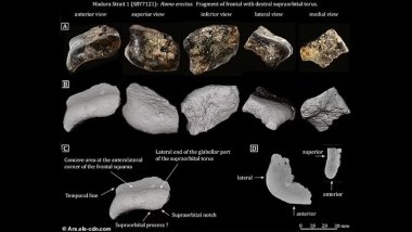 Okyanusun dibinde 140.000 yıl önce inşa edilmiş gizli şehir keşfedildi