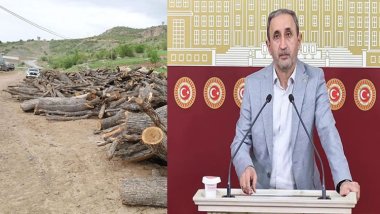 HÜDA PAR milletvekilinden Şırnak’taki orman kesimine tepki