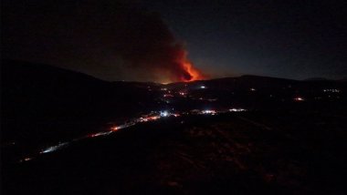 Dört kentte orman yangınları