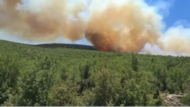 Antep'te orman yangını