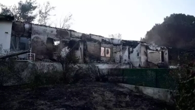 İzmir, Antalya ve Manisa’da orman yangınları sürüyor