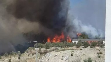 Hatay'da orman yangını: Yerleşim yerlerine doğru ilerliyor