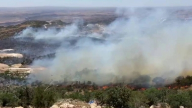Mardin ve Şırnak'ta orman yangını