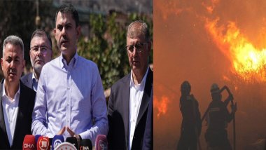 Orman yangınlarının bilançosu açıklandı