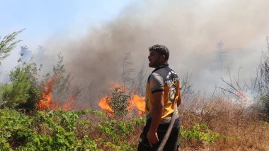 Suriye'deki orman yangınları: Sorumluluğu Ensar el-Sünne örgütü üstlendi