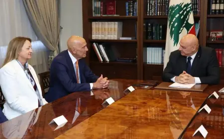 ABD: Lübnan'da Hizbullah'ın silahsızlandırılmasında ilerleme kaydedildi