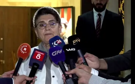 Leyla Zana’dan PKK’nin silah bırakmasına ilişkin açıklama