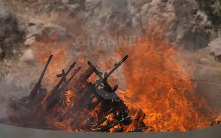 Mesut Yeğen: PKK'nin silah bırakması Kürt meselesinin çözümü anlamına gelmiyor