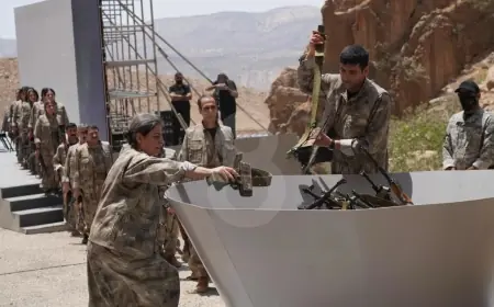 Silah bırakan PKK'li grubun sözcüsü: 'Somut adımlar atılmazsa yeni silah bırakmalar olmayacak'