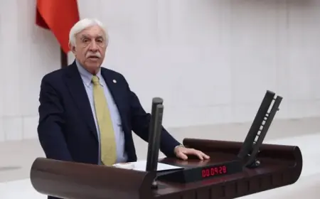 DEM Partili Cengiz Çandar: Kürt varlığı artık inkar edilemez