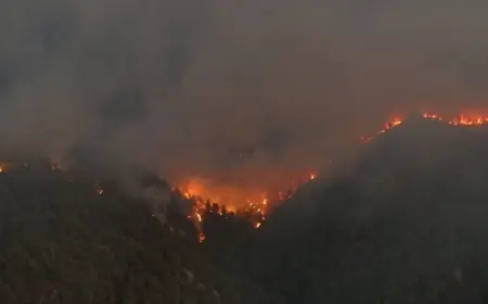 Sakarya'daki yangına müdahale sürüyor