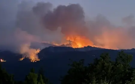 Eskişehir’deki yangında 10 orman işçisi hayatını kaybetti