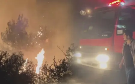 Afrin'de orman yangını