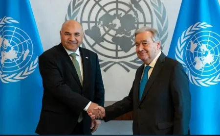 Kürt diplomat Irak’ın BM daimi temsilcisi oldu