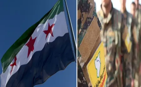 Suriye Dışişleri'nden DSG açıklaması