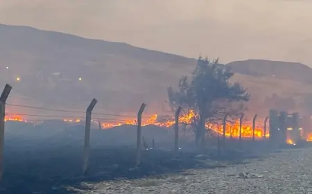 Van Ayanıs’ta yangın
