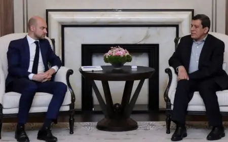 Cengiz Çandar- Suriye ve ''süreç'': Suriye’de ne oluyor, ne olamaz, ne olmalı…