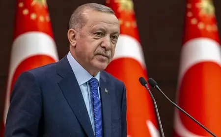 Erdogan: Em derbarê pêvajoyê geşbîn in