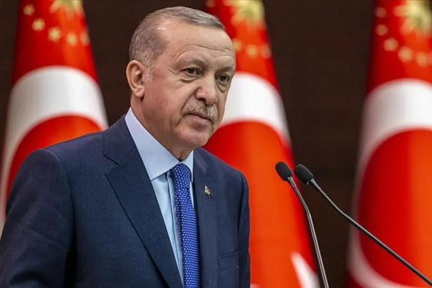 Erdogan: Em derbarê pêvajoyê geşbîn in