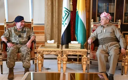 İngiltere'den 'Kürdistan Bölgesi'ni hedef alan İHA saldırıları durdurulsun' çağrısı