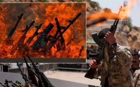 Yeni Çözüm Sürecinde Önemli Adım: Silah Bırakanlara Hukuki Düzenleme