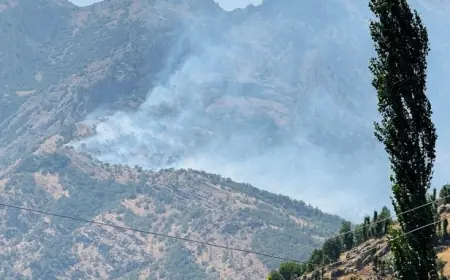 Şırnak’ta orman yangını: Alevler kontrol altına alınamıyor
