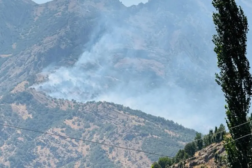 Şırnak’ta orman yangını: Alevler kontrol altına alınamıyor