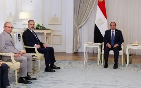 Fidan, Mısır'da Sisi ile görüştü