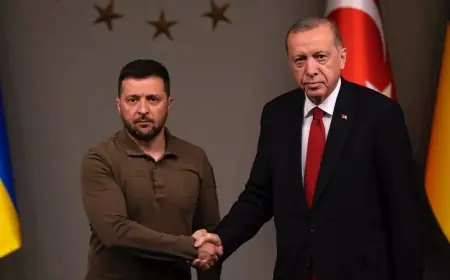 Erdoğan, Zelenskiy ile görüştü