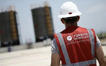 TPAO'nun Diyarbakır ve Mardin'deki sahası için kamulaştırma kararı