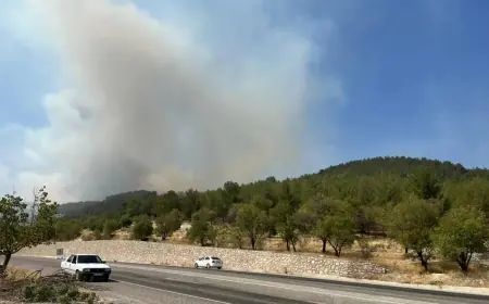 Adıyaman’da orman yangını!