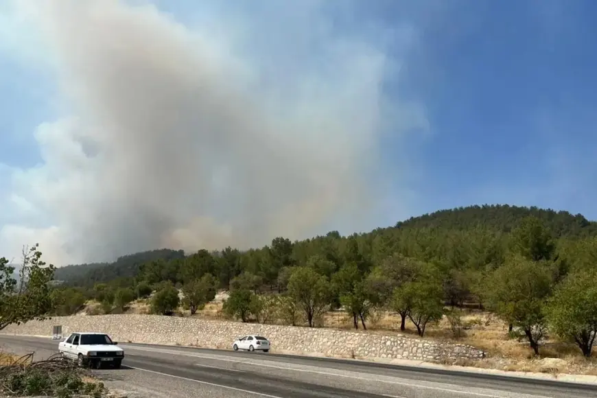 Adıyaman’da orman yangını!