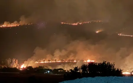 Diyarbakır’ın  ilçelerinde orman yangınları: Alevler köylere yaklaştı