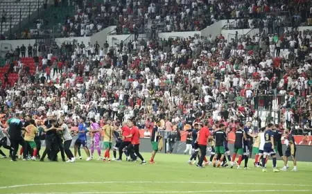 Amedspor-Erzurumspor maçı olaylı bitti