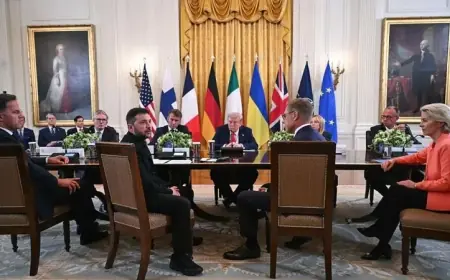 Trump'ın Zelenskiy, Avrupalı liderler ve Putin'le görüşmelerinden ne sonuçlar çıktı?