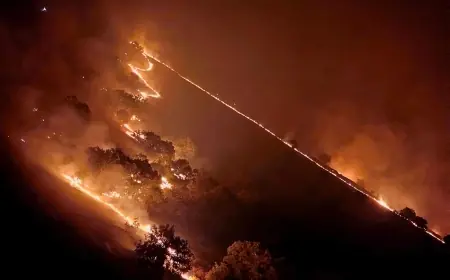 Halepçe’deki orman yangınında iki kişi hayatını kaybetti